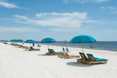 a row of beach chairs and umbrellas on a beach at Long Beach Resort 3-404 in Panama City Beach