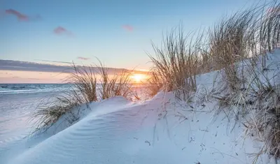 a path through the sand on a beach with the sunset at Seas The Day in Rosemary Beach