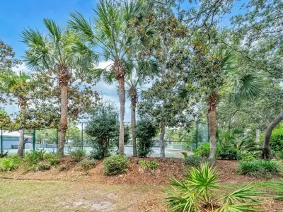 a group of palm trees in a park at Cassine Gardens 189 in Santa Rosa Beach