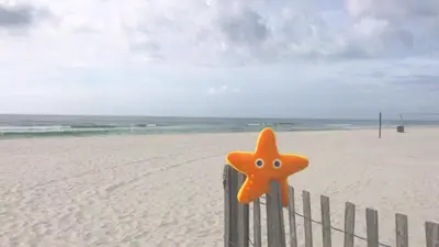 a plastic star on a fence on the beach at Edgewater 3-1009 'Paradise Palms' in Panama City Beach