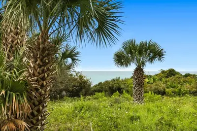 two palm trees in a field with the ocean in the background at One Seagrove Place 0902 in Santa Rosa Beach