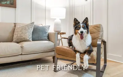 a dog sitting on a chair in a living room at SeaGroovInn by Oversee 30A in Santa Rosa Beach