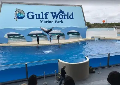 a sign that reads gulf world marine park with people in a pool at Grand Panama 902 in Panama City Beach