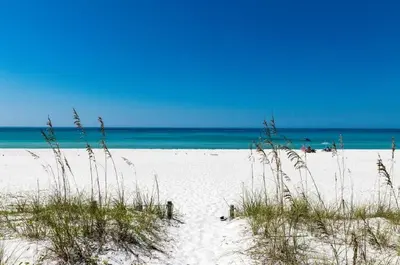 a sandy beach with grass and the ocean in the background at Origin 613 - Studio King - Peaceful Nature View in Panama City Beach
