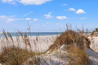 a sandy beach with tall grass and the ocean at Commodore 0607 in Panama City Beach