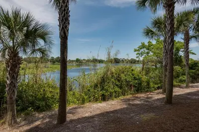 a view of a river from between palm trees at Sterling Breeze 904 in Panama City Beach