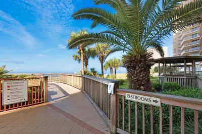 a boardwalk leading to the beach with palm trees at Hidden Dunes 901 in Panama City Beach