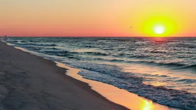 a sunset on the beach with a bird flying over the ocean at Cassine Station 302 in Santa Rosa Beach