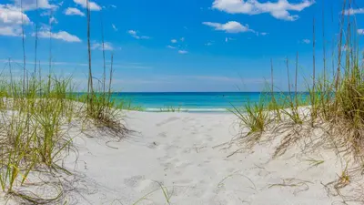 a beach with grass and the ocean in the background at Breathtaking Views from Gulf Front 2 Bd / 3 Ba Townhome! in Panama City Beach